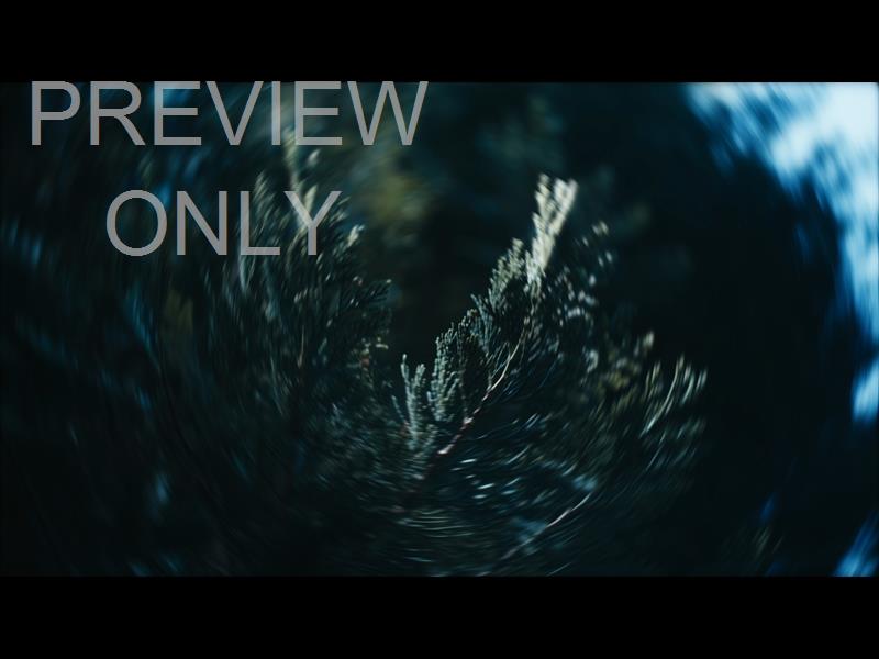 Radial  5 Still