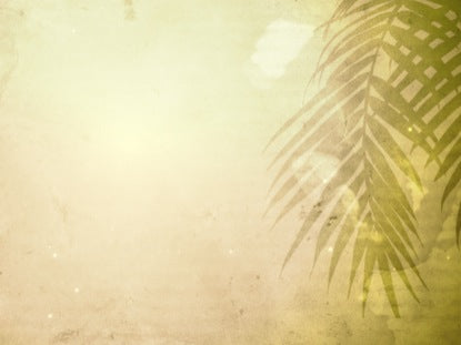 Palm Blank