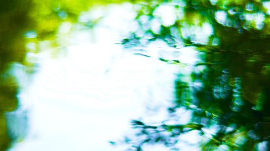 Living Waters 08