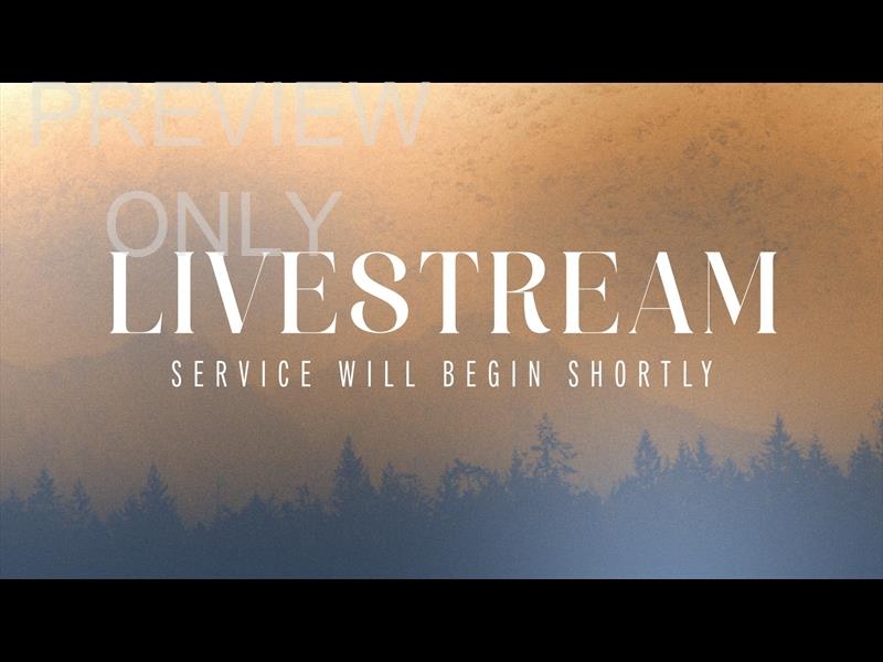 Northern Glow Livestream Still