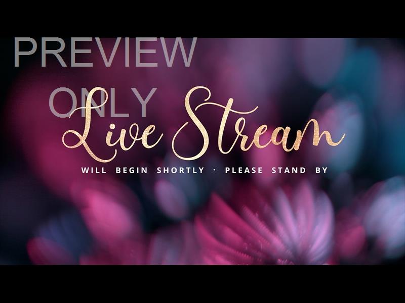 Christmas Ornamental Live Stream Still