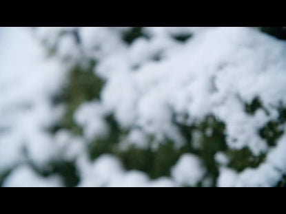 Snow Winter Background 30