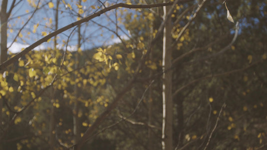 Mountain Hike 08 Still