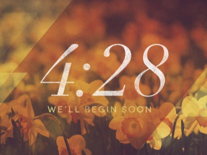 Morning Flowers Countdown