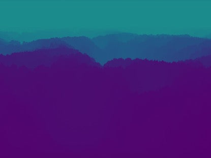 Iridescent Forest