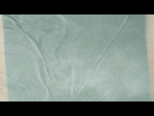Hydrangea Loop 08