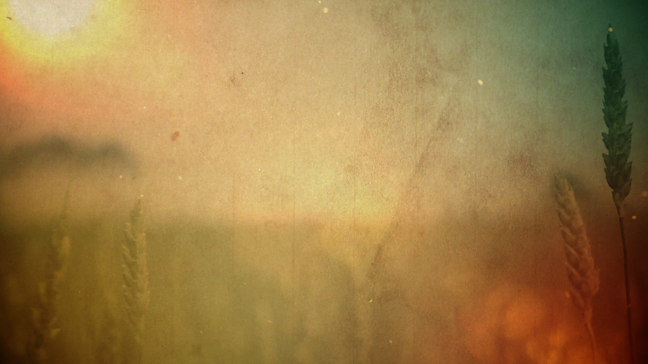 Thanksgiving Welcome Blank