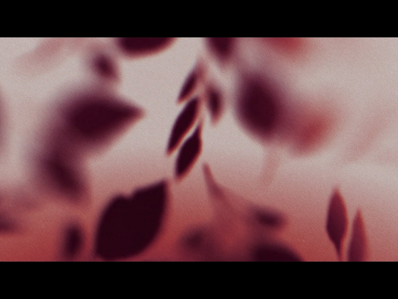 Autumn Again Loop 08