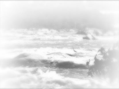 White Washed 3 Motion