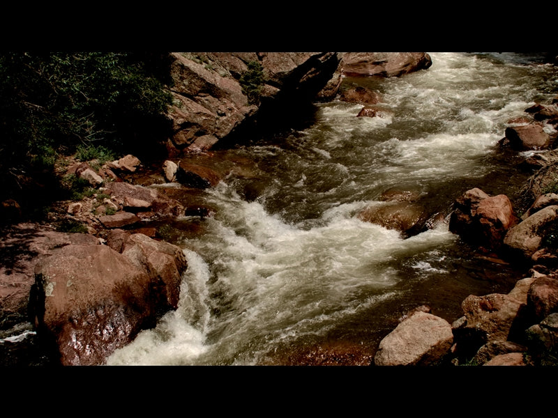 El Dorado Motion 2