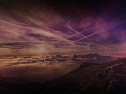 Streaming Beauty 1 Motion