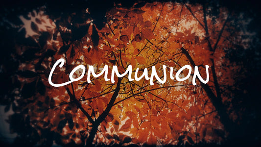 Autumn Fire Communion Still