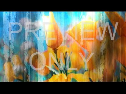 Floral Fusion 2 Graphic