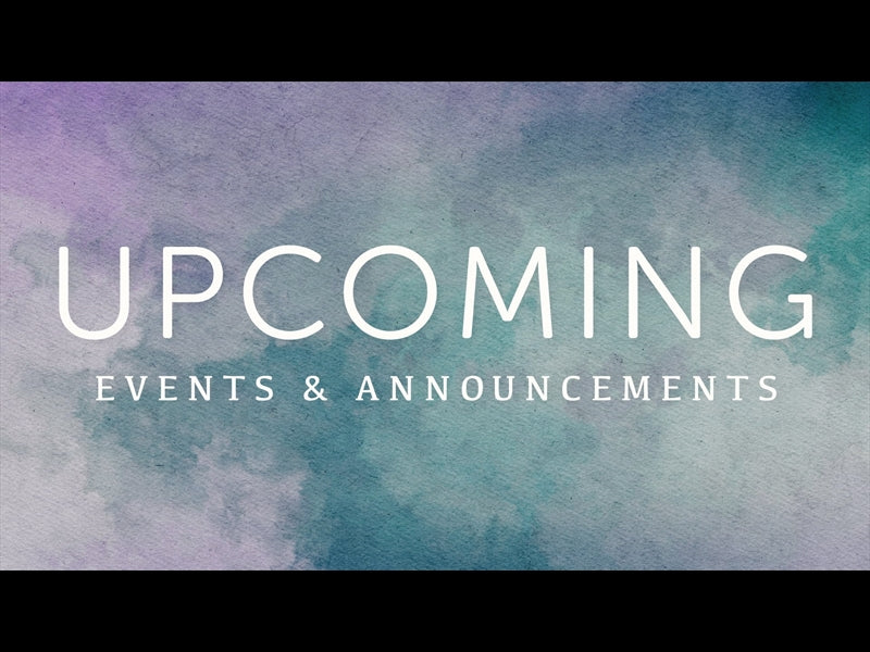 Summer Canvas Upcoming