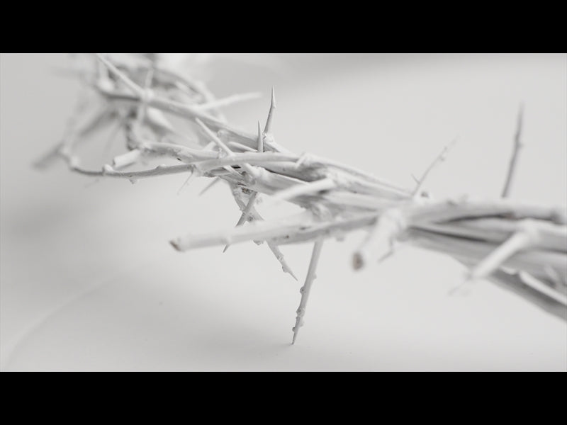Crown Of Thorns White 4