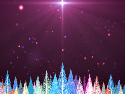 Colorful Christmas Trees