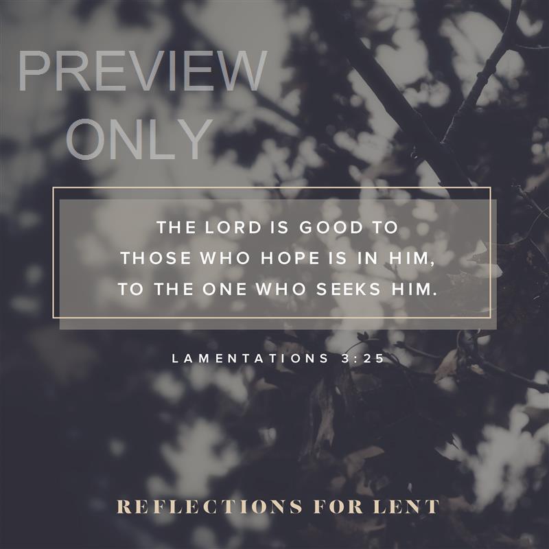 Reflections For Lent 2