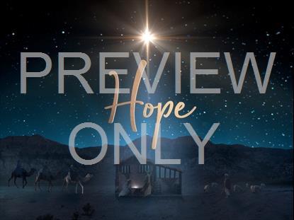 Starry Night Nativity Hope Still