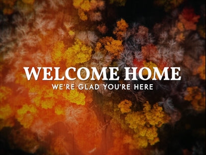 Aerial Journey Welcome Back Motion