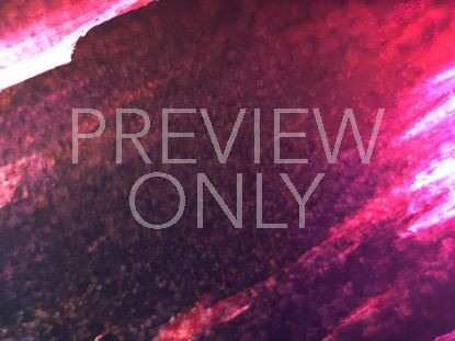 Color Dynamics Still 8