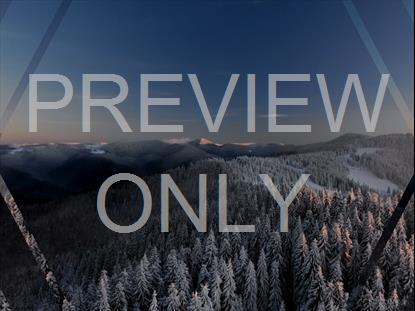 Epic Winter Aerial Snowy Trees