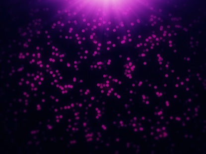 Litebrite Purple