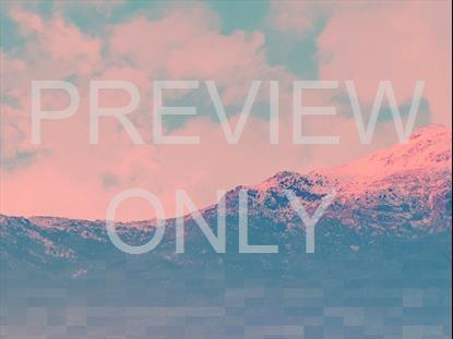 Resurrection Hope Still 4