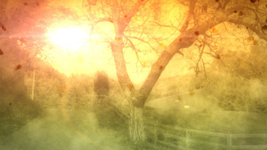 Autumn Hymn 03