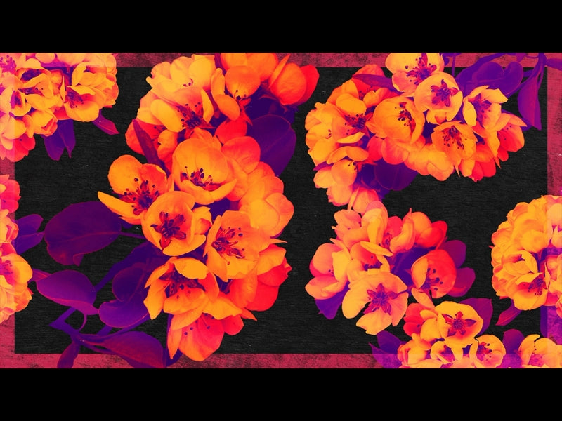 Bold Blooms Loop 03