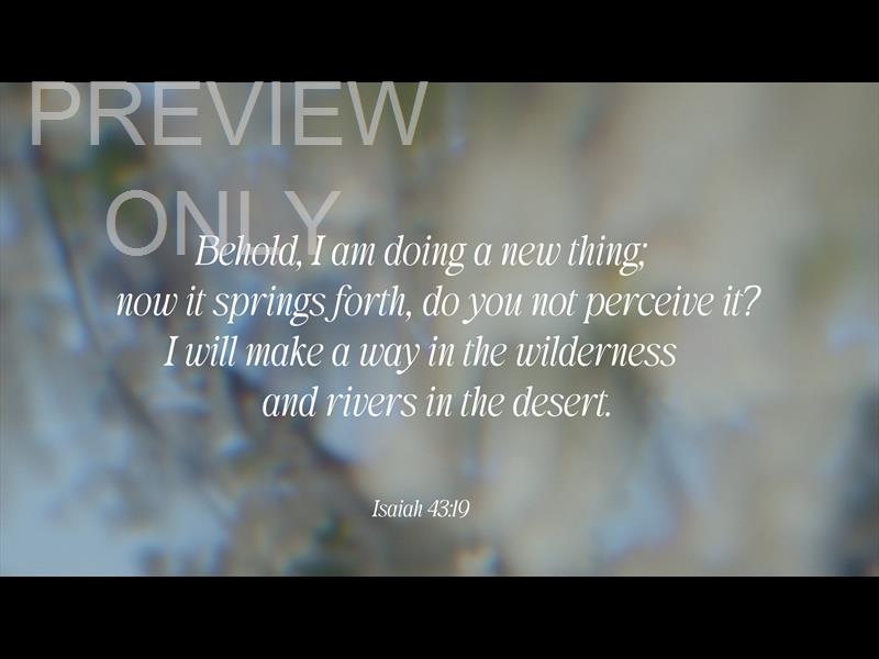 Daydream Scripture Still