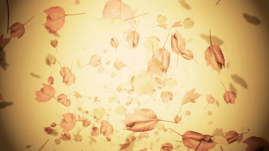 Leaves Falling