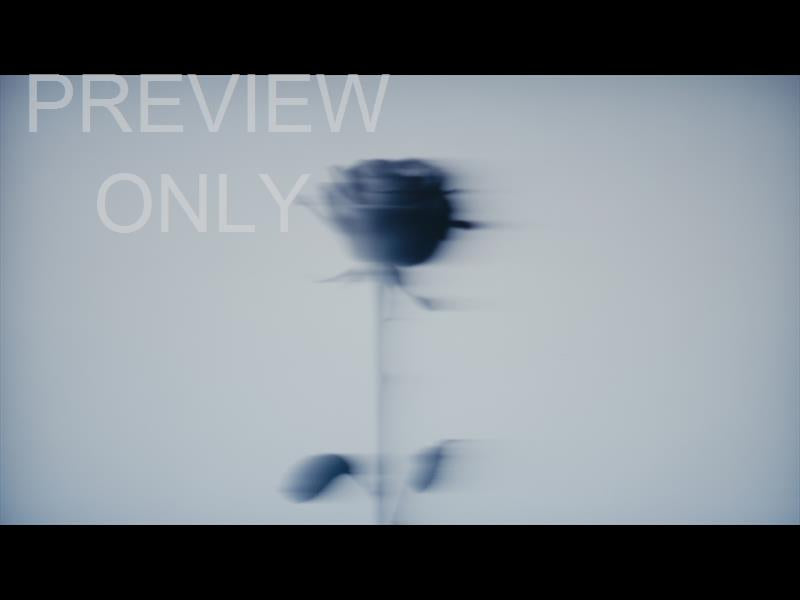 Easter Figures Black Rose Still