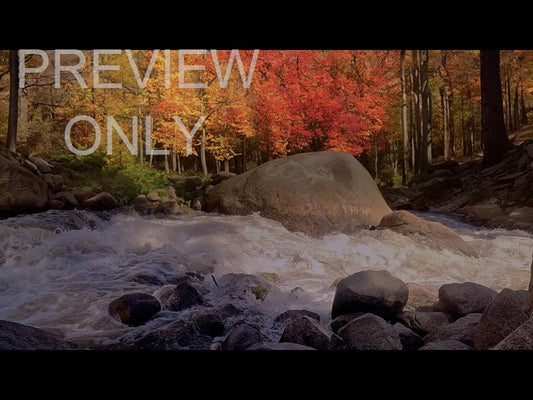 Northwest Fall 7 Still