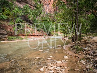 The River