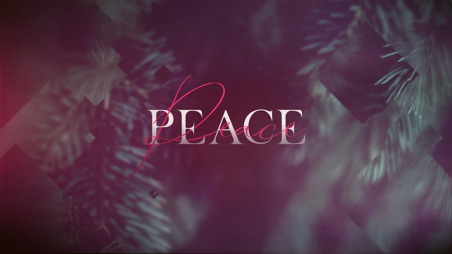 Christmas Journey Advent Peace Still