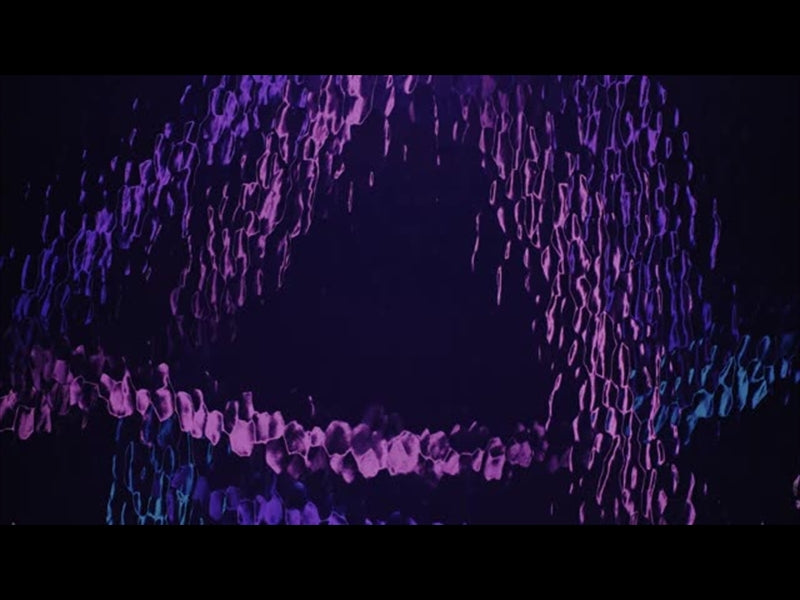 Lucent Teal Pink Lines