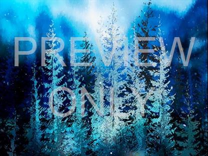 Christmas Woods 12 Still