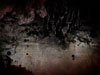 Crimson Stains 1