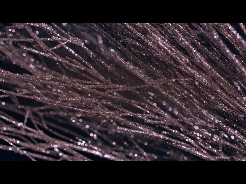 Christmas Gold 12