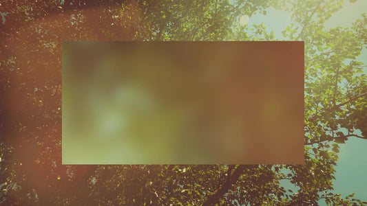 Summer Bright Foliage Alt