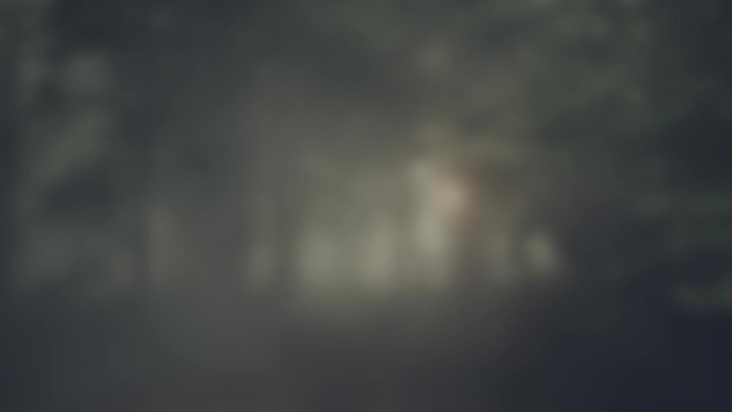 Lumberjack Dad Foggy Alt Still