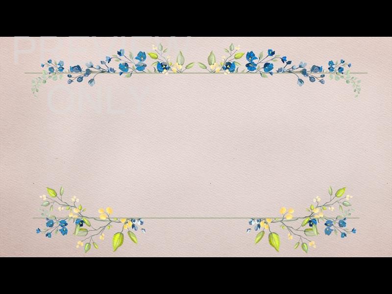 Petite Flower: Still 02