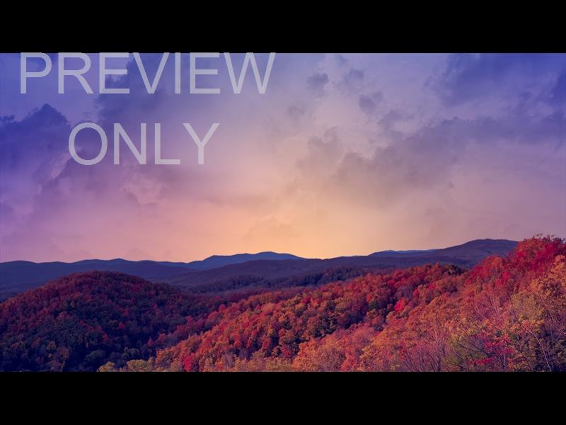 Wilderness Fall 4 Still
