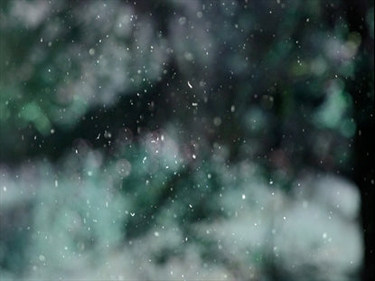 Winter Snow 9 Still