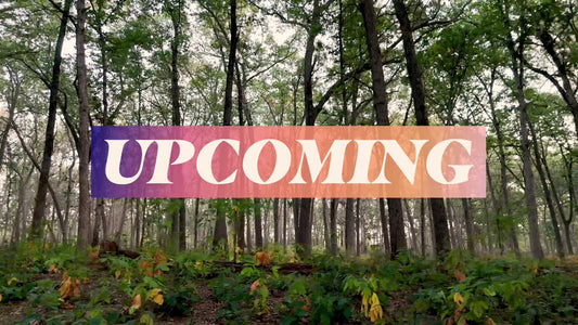 The Forest Upcoming Still