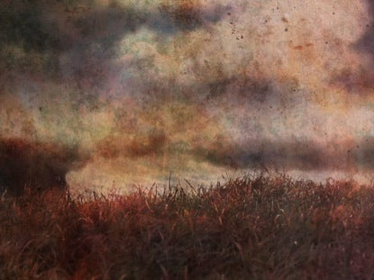Peaceful Marsh