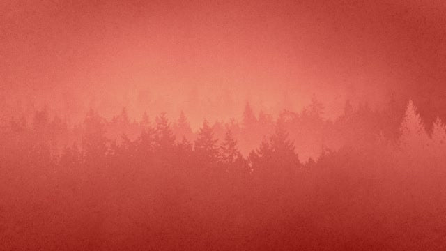 Timberline Loop 01