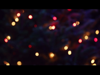 Christmas Pines Red Gold Blur