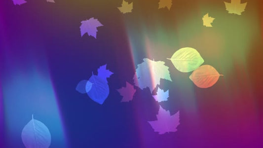Light Leaves 07