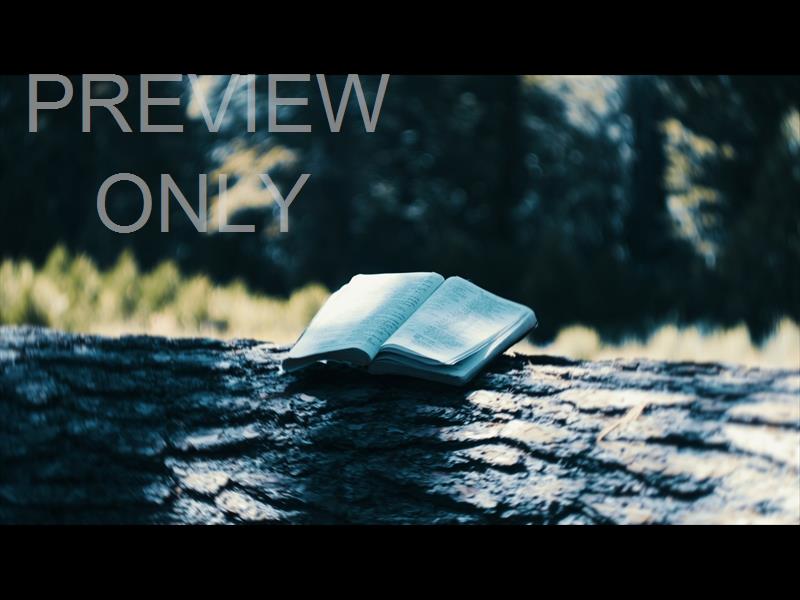 Bible And Crown 2 Still